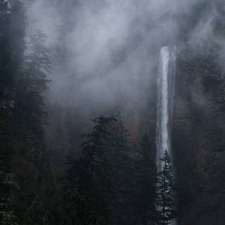 Foggy iPhone wallpaper