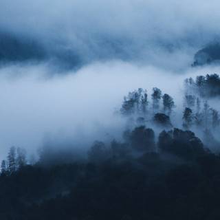 Foggy iPhone wallpaper