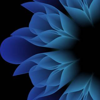 iPhone black amoled wallpaper