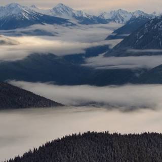 Foggy iPhone wallpaper