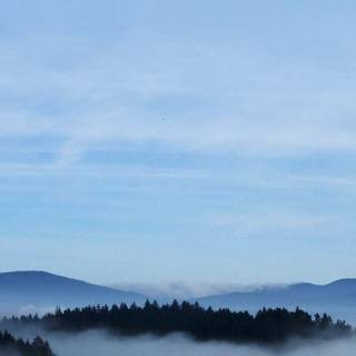 Foggy iPhone wallpaper