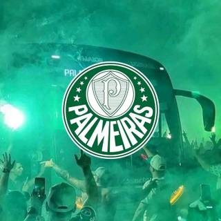 Palmeiras iPhone wallpaper