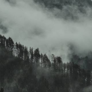 Foggy iPhone wallpaper