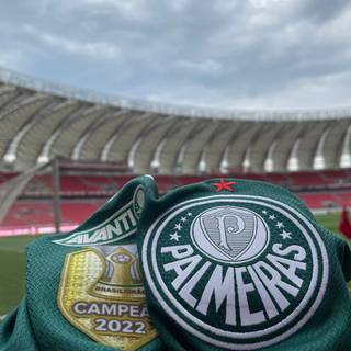 Palmeiras iPhone wallpaper