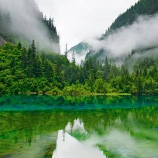 Foggy iPhone wallpaper