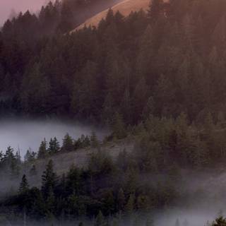 Foggy iPhone wallpaper