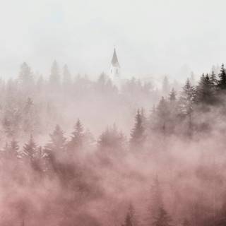 Foggy iPhone wallpaper
