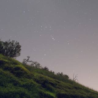 Nature aesthetic iPhone wallpaper