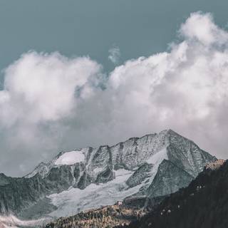 Nature aesthetic iPhone wallpaper