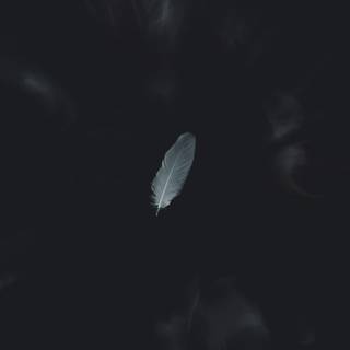 Dark black phone wallpaper