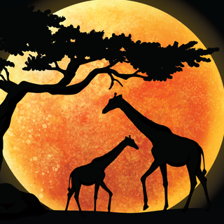 Giraffe iPhone wallpaper