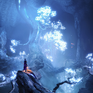 Evelyn Baldur's Gate wallpaper