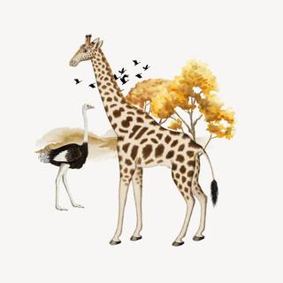 Giraffe iPhone wallpaper