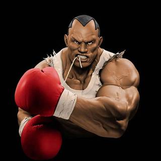 iPhone Street Fighter wallpaper