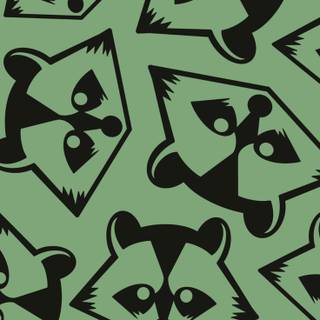 Raccoon phone wallpaper