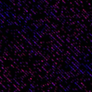 iPhone code wallpaper