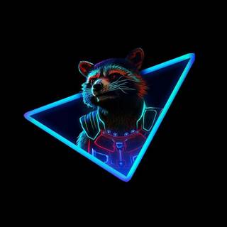Raccoon phone wallpaper