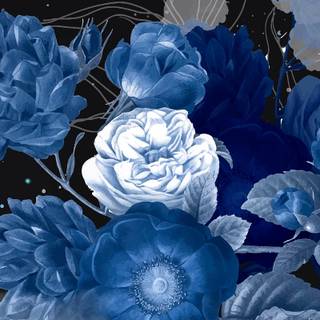 Aesthetic iPhone blue wallpaper