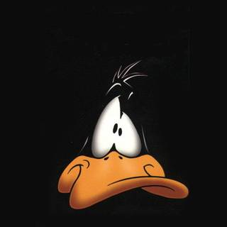 Duck face wallpaper