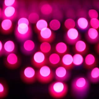 Light magenta wallpaper