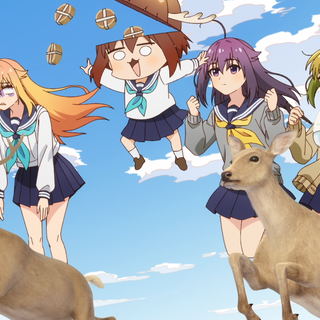 My Deer Friend Nokotan wallpaper