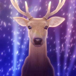 My Deer Friend Nokotan wallpaper