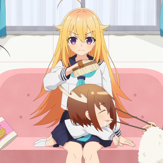 My Deer Friend Nokotan wallpaper