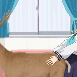 My Deer Friend Nokotan wallpaper