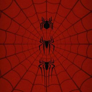 Spider-Man Y2k wallpaper