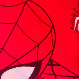 Spider-Man Y2k wallpaper