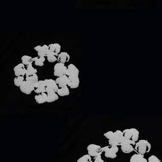 Denim Tears wallpaper