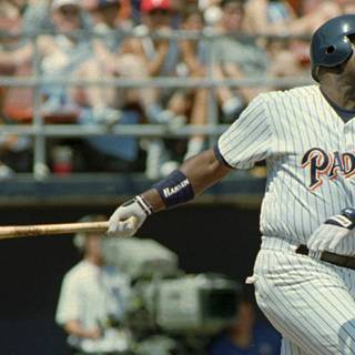 Tony Gwynn wallpaper