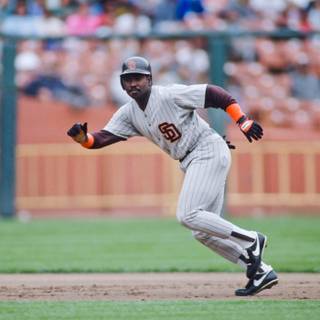 Tony Gwynn wallpaper