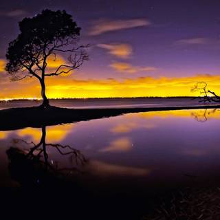 Evening time wallpaper