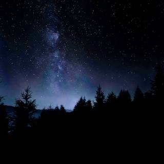 Evening time wallpaper