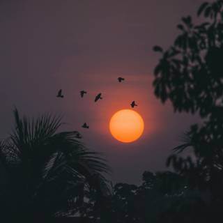 Evening time wallpaper