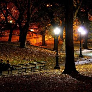 Evening time wallpaper