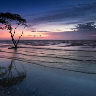 Evening time wallpaper