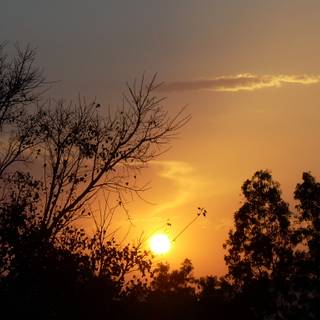 Evening time wallpaper