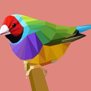 Gouldian finch wallpaper