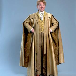 Gilderoy Lockhart wallpaper