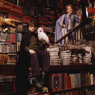 Gilderoy Lockhart wallpaper