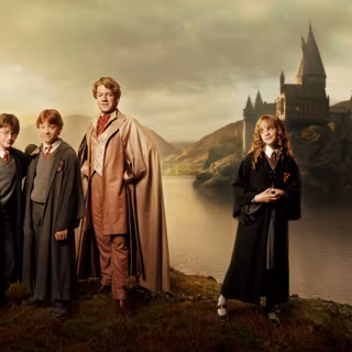 Gilderoy Lockhart wallpaper