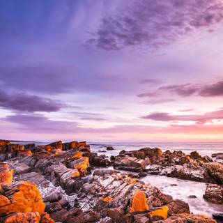 4k Australian wallpaper