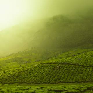 Scenery 4k desktop wallpaper