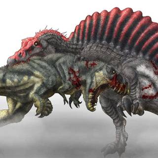 Spinosaurus wallpaper