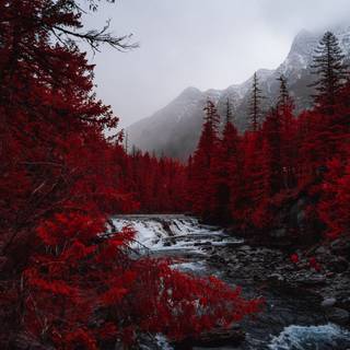 Red mountains 4k wallpaper