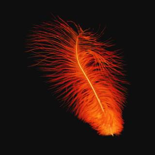 Orange black 4k wallpaper