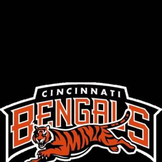 Bengals iPhone wallpaper