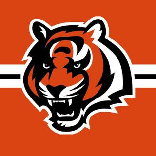 Bengals iPhone wallpaper